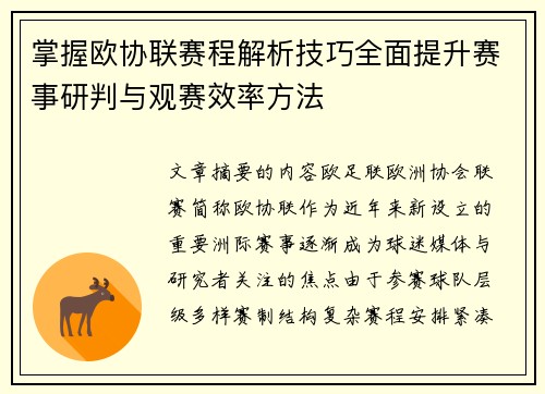 掌握欧协联赛程解析技巧全面提升赛事研判与观赛效率方法