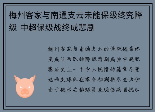 梅州客家与南通支云未能保级终究降级 中超保级战终成悲剧