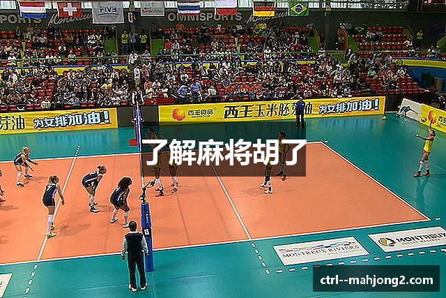 了解麻将胡了